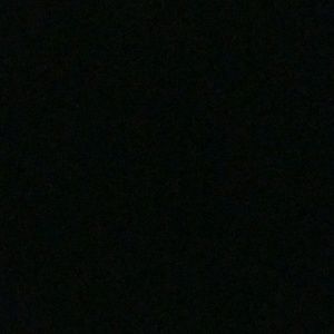 Meet your Posher, Phylicia